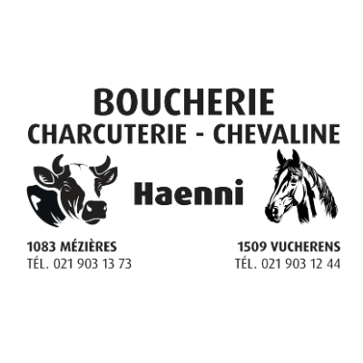 Haenni-Logo